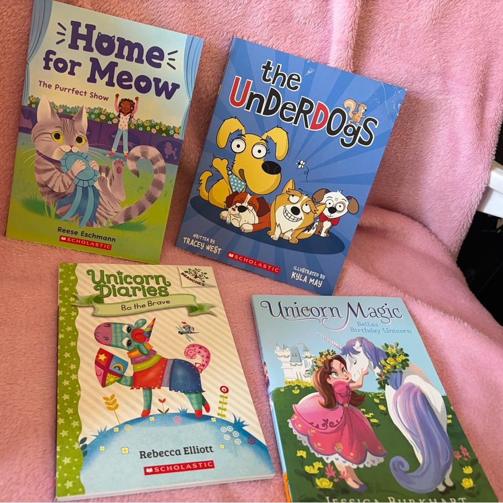 Scholastic new chapter books for kids lot!